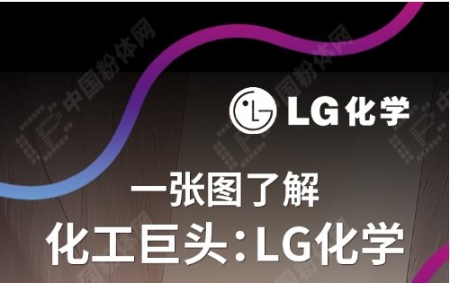 һͼ˽⻯ͷLGѧ