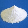 627չڲֵп