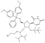 微信图片_20231212101428.png