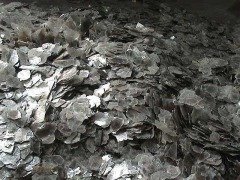 首页 非金属粉体 石家庄锦铂矿产品加工厂 云母片标题信息:云母片