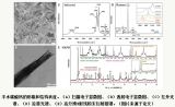 科学家与新型碳酸钙“不期而遇”