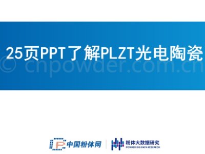 25ҳPPT˽PLZTմ