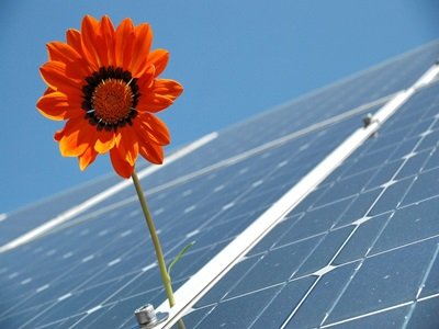 南玻A单季营收37亿创新高 太阳能业务翻倍增长