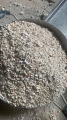 112չڲֵ