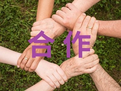 1100万！西安交通大学公开招标：场发射透射电子显微镜