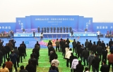 120300̨涥ѹʯΡ