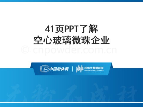 41ҳPPT˽Ĳ΢ҵ