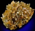 317չڲֲؾʯ