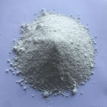 47չڲֵп
