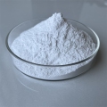 58չڲֵп