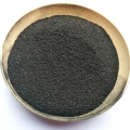 526չڲֵ۱