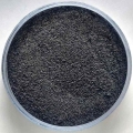 79չڲֵ۱
