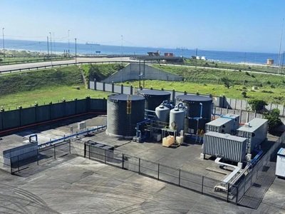 ����̿�ھ�ͷ��������������ģ����