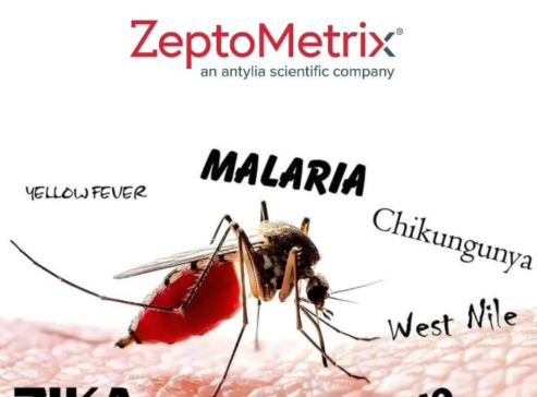 直面基孔肯雅疫情： ZeptoMetrix现货病原体原料与质控品快速响应方案