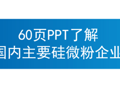 60ҳPPT˽Ҫ΢ҵ