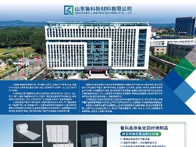 ɽ³²11Լݣ2025ھŽȫʯӢչᣡ