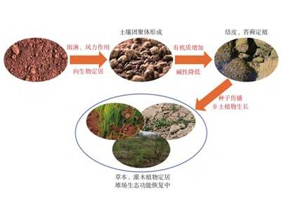 ������õĹ��ޣ�����࣡