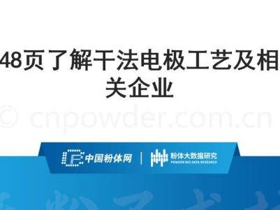 48ҳPPT�˽�ɷ��缫���ռ������ҵ