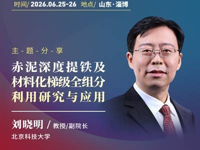  赤泥深度提铁及材料化梯级全组分利用研究与应用