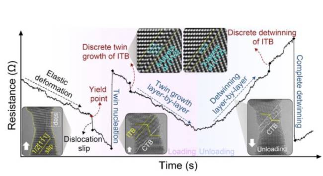 Advanced Functional Materials | 泽攸科技原位TEM助力钨纳米线塑性变形的实时电学监测
