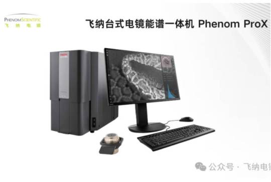 Science Advances：电化学制备高纯过氧化氢，飞纳扫描电镜揭示钯膜电极微观结构