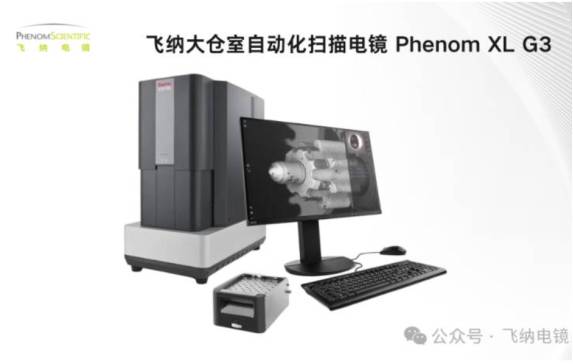 从青蛙鸣囊到智能听诊：飞纳扫描电镜揭示石墨烯声学器件的微观结构