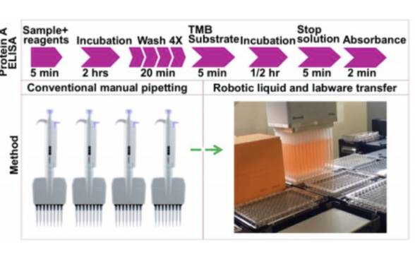 移液专家｜Biomek i7助力抗体表征自动化
