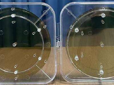 露笑科技：上半年实现营收19.50亿元 碳化硅材料迎来多重技术突破