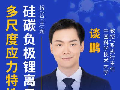 中国科学技术大学谈鹏教授：硅碳负极锂离子电池多尺度应力特性研究