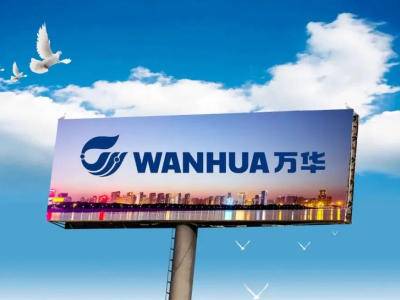 万华化学再加码年产16万吨磷酸铁锂项目！