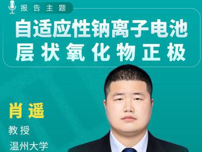 温州大学肖遥教授：自适应性钠离子电池层状氧化物正极
