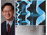 华人科学家发现纳米世界的“双螺旋”结构