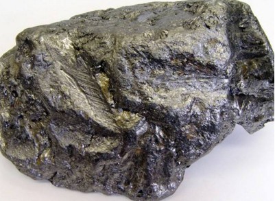 广西恭城发现晶质石墨矿点