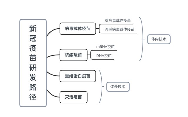 新冠疫苗研发流程图图片