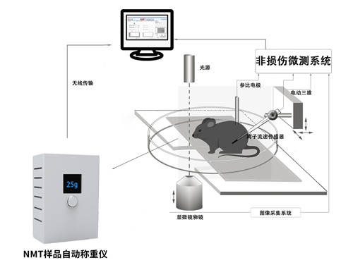 NMT样品自动称重仪_报价-旭月北京科技有限公司